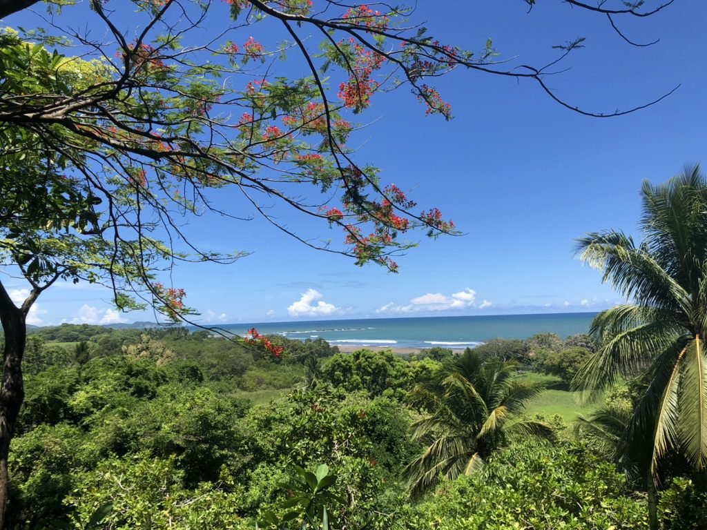 7D43BA3C-1576-4027-8971-F805A209198B_1_105_c host your yoga retreat