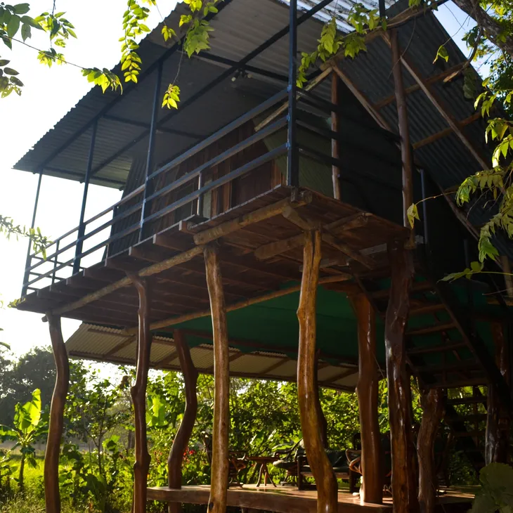 tree-house-lodge tree house